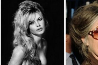 Brigitte Bardot: Legado do Cinema Francês em Luto aos 91 Anos