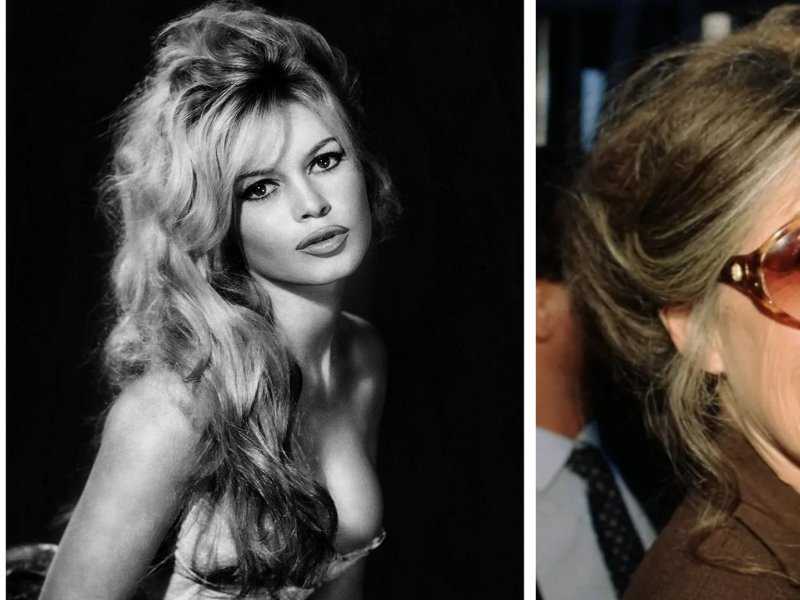 Brigitte Bardot: Legado do Cinema Francês em Luto aos 91 Anos