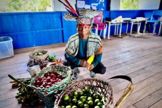 MDS Fortalece PAA Indígena no Norte e Nordeste: Adesão dos Estados é Essencial