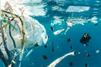 Metade dos Ambientes Aquáticos do Mundo Está Severamente Contaminada por Lixo