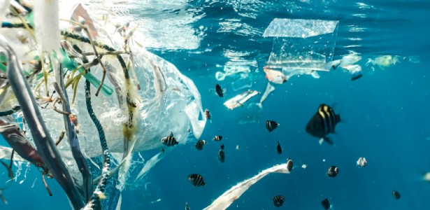 Metade dos Ambientes Aquáticos do Mundo Está Severamente Contaminada por Lixo