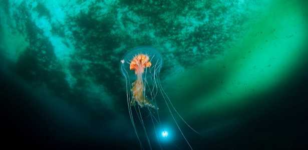 FAPESP e Agência Uruguaia Anunciam Chamadas para Pesquisas em Ciência Oceânica