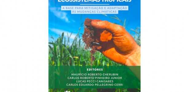 Saúde do Solo em Ecossistemas Tropicais: Explorando os Benefícios e Desafios