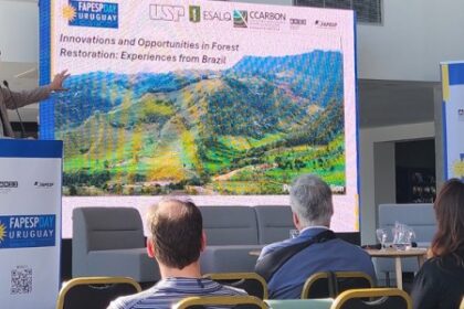 Pesquisador Revela: Brasil Pode Tornar-se o Maior Depósito de Carbono Negativo do Mundo