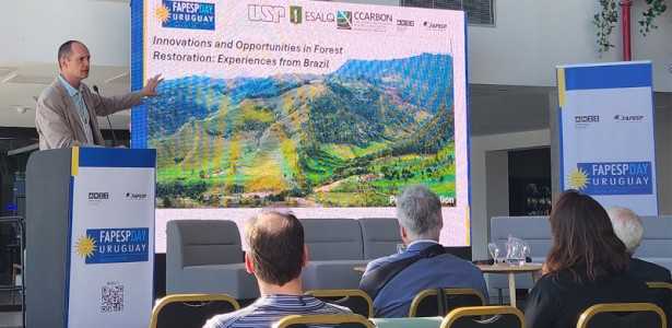 Pesquisador Revela: Brasil Pode Tornar-se o Maior Depósito de Carbono Negativo do Mundo