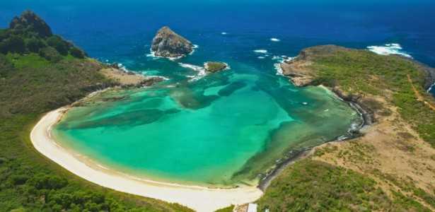 Tubarão-limão Capturado Predando Peixe Invasor de Água Doce em Fernando de Noronha
