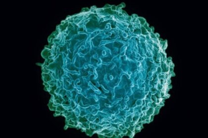 Como o Vírus da COVID-19 Manipula o RNA das Células Hospedeiras para Desativar o Sistema Imune