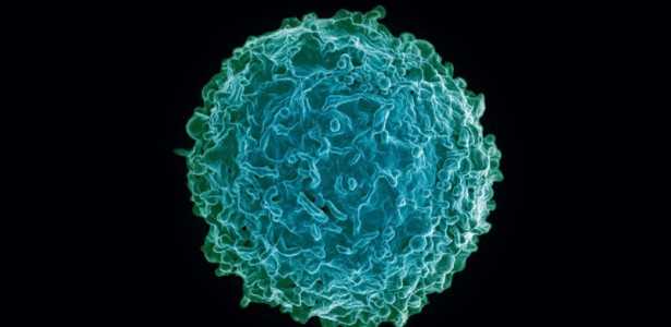 Como o Vírus da COVID-19 Manipula o RNA das Células Hospedeiras para Desativar o Sistema Imune