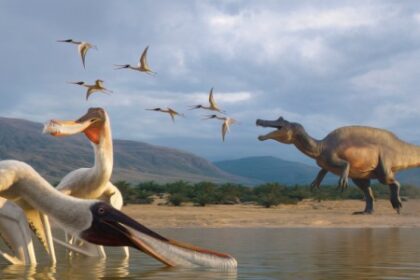 Descoberta de Vômito Fossilizado Revela o Primeiro Pterossauro Filtrador dos Trópicos