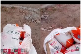 Frangos no lixo em sacolas de Cesta de Natal geram polêmica em Camaçari