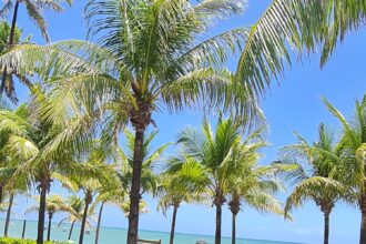 INMET prevê calor e estabilidade no fim de semana em Camaçari