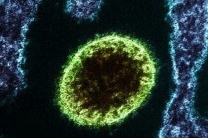 Índia confirma: 100 em quarentena por vírus Nipah — o que está por trás?