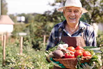 Com Desenrola Rural, 440 mil produtores regularizam dívidas