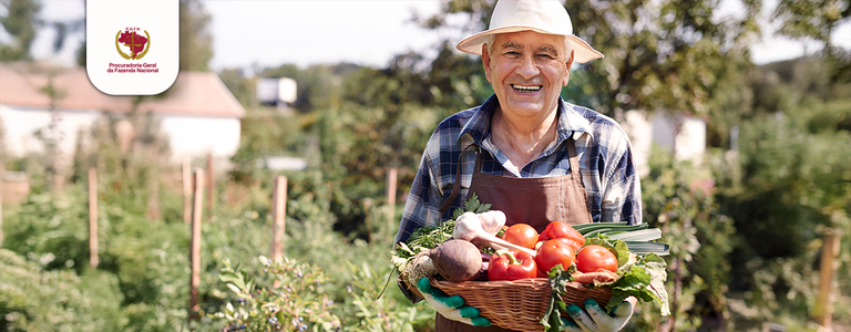 Com Desenrola Rural, 440 mil produtores regularizam dívidas