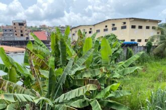 Obras na Rua Guanabara em Candeias são retomadas por Prefeitura e Conder