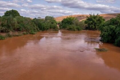 Contaminação dos Peixes do Rio Doce: Quatro Anos Após o Desastre de Mariana