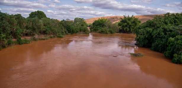 Contaminação dos Peixes do Rio Doce: Quatro Anos Após o Desastre de Mariana