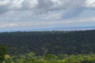 Desmatamento na Amazônia Aumenta Temperatura da Superfície em 3°C Durante a Estação Seca