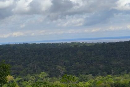 Desmatamento na Amazônia Aumenta Temperatura da Superfície em 3°C Durante a Estação Seca
