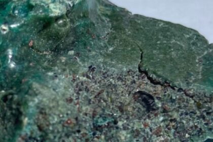 Ninhos de Tartaruga-Verde em Risco: Como ‘Rochas de Plástico’ Ameaçam a Espécie