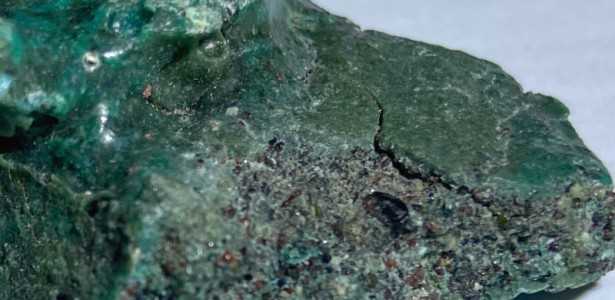 Ninhos de Tartaruga-Verde em Risco: Como ‘Rochas de Plástico’ Ameaçam a Espécie