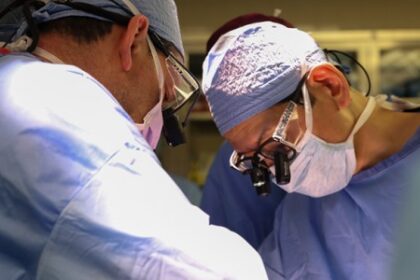 Estudo Revela Reação do Sistema Imunológico a Transplante de Rim de Porco em Pacientes Vivos