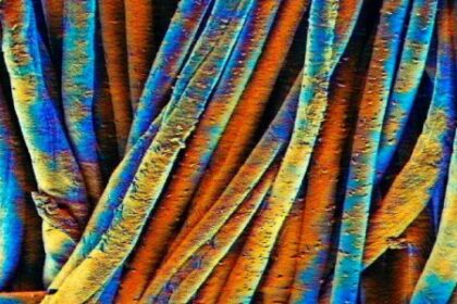 Artista do CDMF Representa o Brasil no Festival Internacional de Nanoarte no Japão 2023