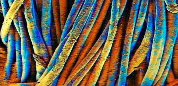 Artista do CDMF Representa o Brasil no Festival Internacional de Nanoarte no Japão 2023