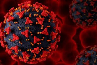Descubra Terapias Inovadoras no Combate à COVID-19: Estudo Revela Avanços