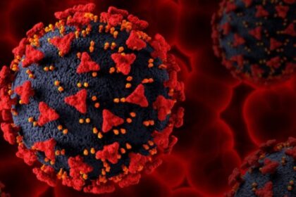 Descubra Terapias Inovadoras no Combate à COVID-19: Estudo Revela Avanços