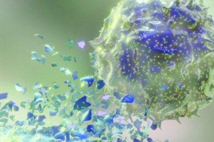 Novas Estratégias Aumentam a Eficácia da Terapia CAR-NK no Combate ao Câncer