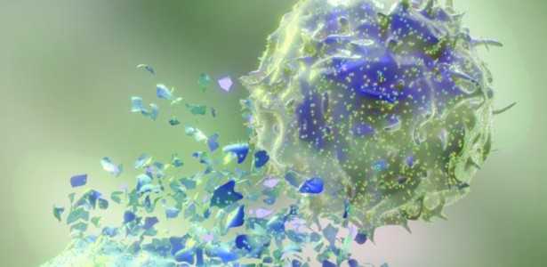 Novas Estratégias Aumentam a Eficácia da Terapia CAR-NK no Combate ao Câncer