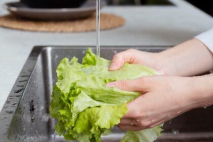 Como Falhas na Higiene e Manipulação de Alimentos Aumentam o Risco de Surtos Bacterianos em Lares Brasileiros