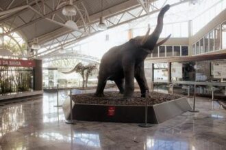 Programação de fevereiro: MGB mantém abertura às 10h