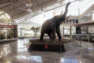 Programação de fevereiro: MGB mantém abertura às 10h