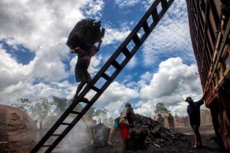 Trabalho análogo à escravidão: homens negros são as principais vítimas no Brasil