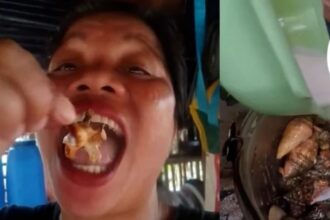 Influenciadora morre após comer “caranguejo do diabo” nas Filipinas: o perigo escondido