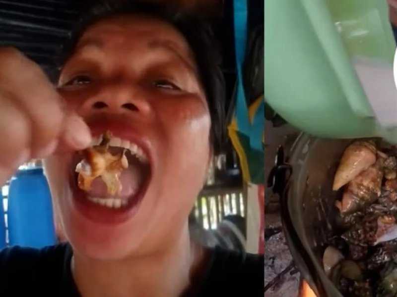 Influenciadora morre após comer “caranguejo do diabo” nas Filipinas: o perigo escondido
