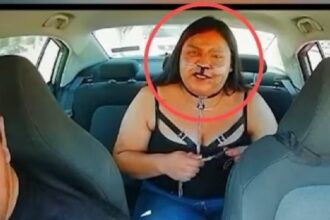 Motorista Chocado: Mulher se Identifica como 'Cachorro'!