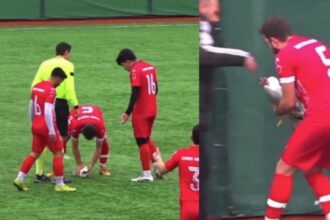 Gaivota salva por massagem cardíaca após ser atingida por bola em jogo na Turquia