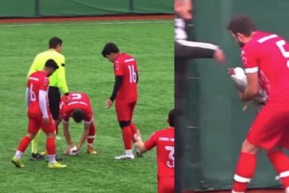 Gaivota salva por massagem cardíaca após ser atingida por bola em jogo na Turquia