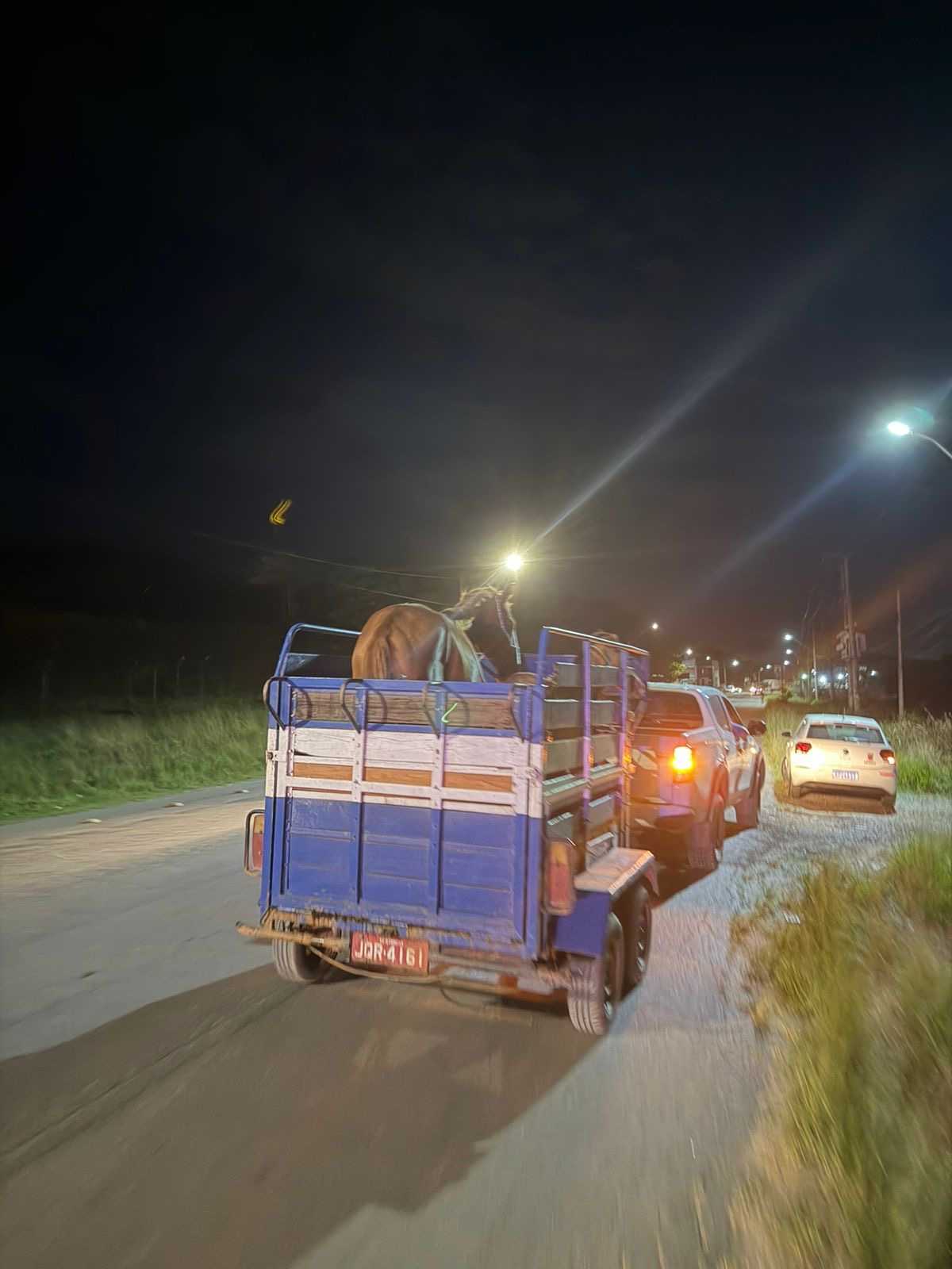 Prefeitura de Candeias reforça recolhimento de animais soltos na BA-522