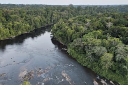 Dados Integrados sobre Gases de Efeito Estufa na Amazônia: Conheça a Nova Plataforma