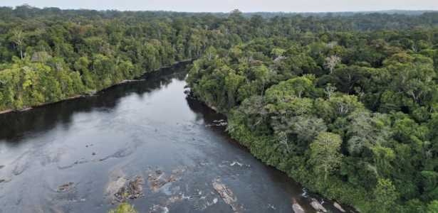 Dados Integrados sobre Gases de Efeito Estufa na Amazônia: Conheça a Nova Plataforma