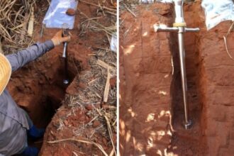 Brasil Perde 1,4 Bilhão de Toneladas de Carbono do Solo Devido à Conversão de Terras Naturais em Áreas Agrícolas