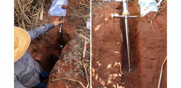 Brasil Perde 1,4 Bilhão de Toneladas de Carbono do Solo Devido à Conversão de Terras Naturais em Áreas Agrícolas