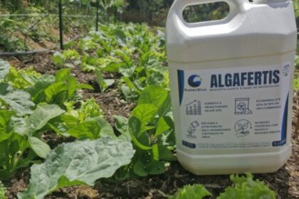Bioinsumos de Microalgas: Reduzindo a Dependência de Fertilizantes Agrícolas