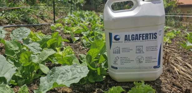 Bioinsumos de Microalgas: Reduzindo a Dependência de Fertilizantes Agrícolas