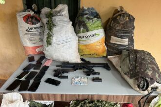 Polícia apreende 3 toneladas de maconha e erradica 200 mil pés