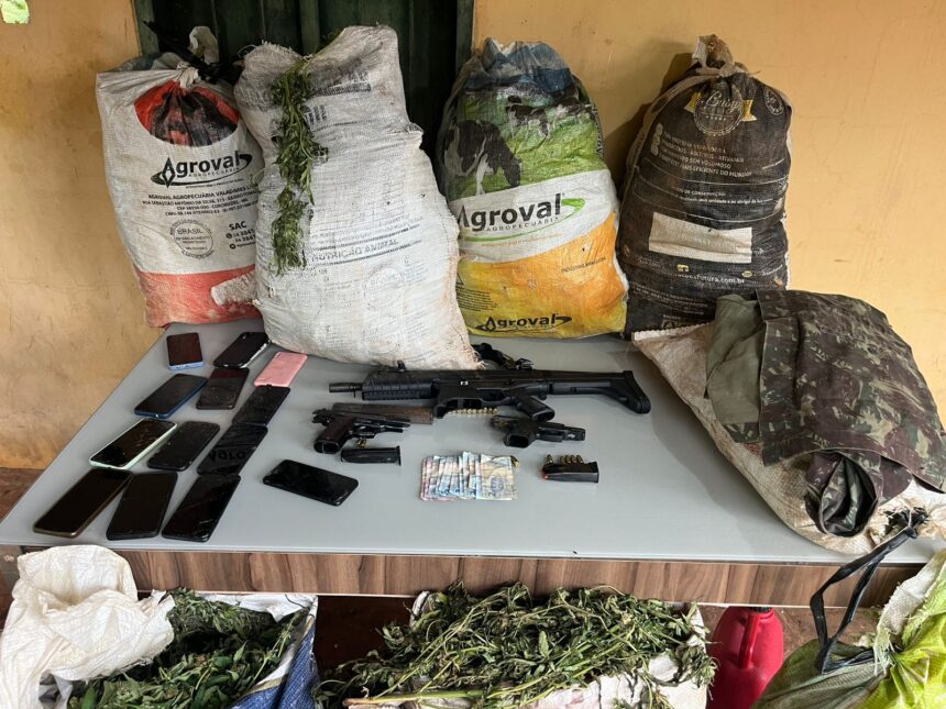 Polícia apreende 3 toneladas de maconha e erradica 200 mil pés